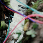 fiber2_natural_light